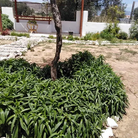 Alexadra's House Апартаменты *