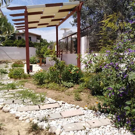 Апартаменты Alexadra's House *