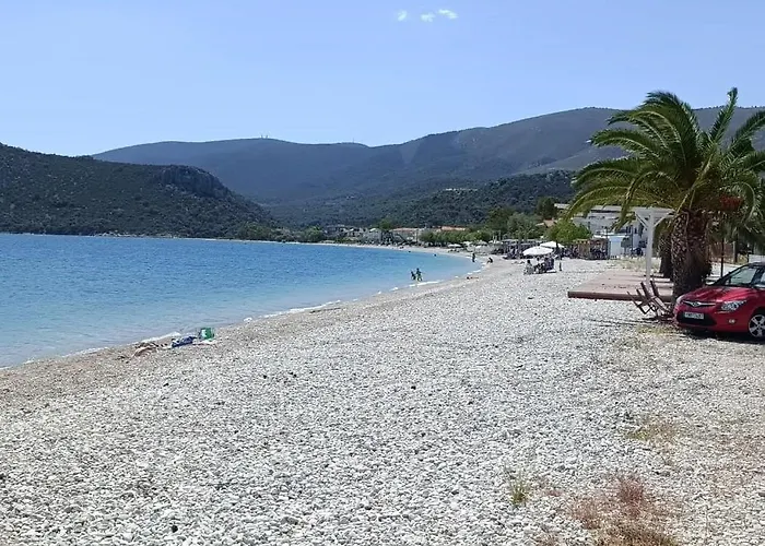 Апартаменты Alexadra's House *