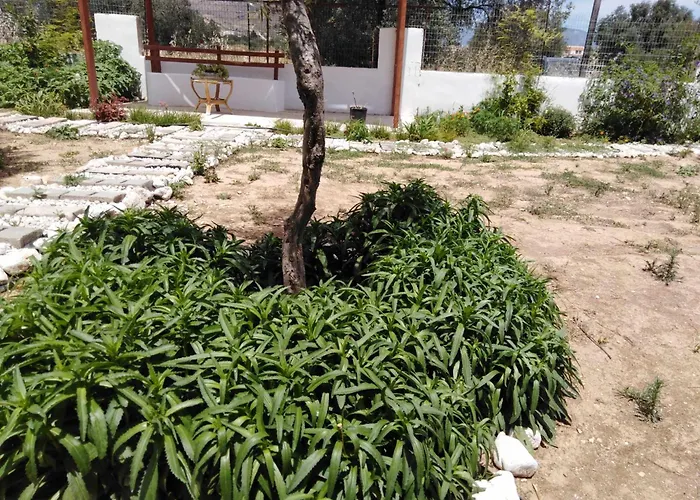 Alexadra's House Апартаменты *